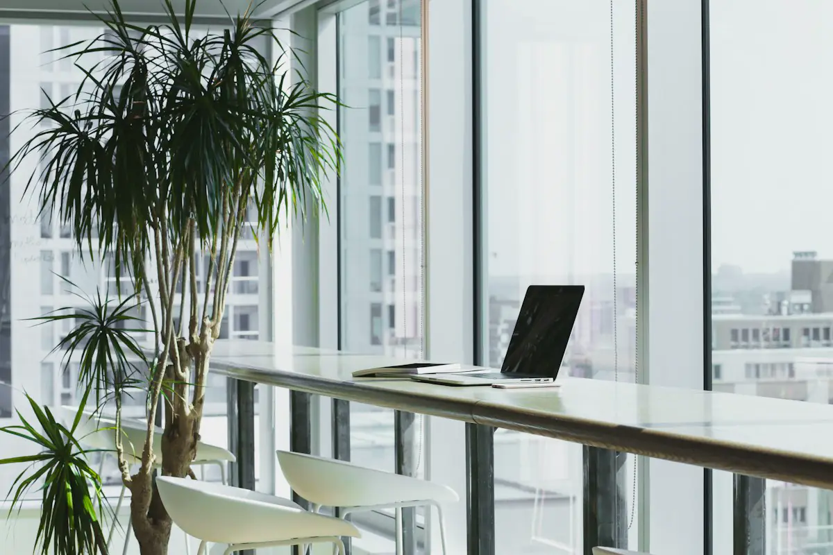 Laptop on a long counter beside a tree and tall office windows
